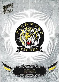 2009 Select AFL Pinnacle #136 Richmond Tigers Front